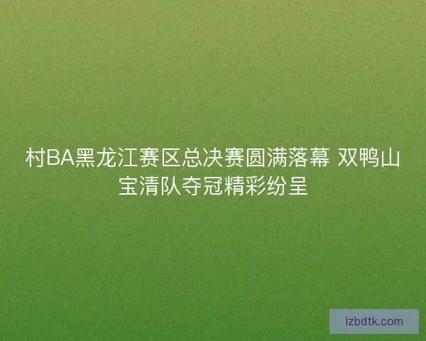村BA黑龙江赛区总决赛圆满落幕 双鸭山宝清队夺冠精彩纷呈
